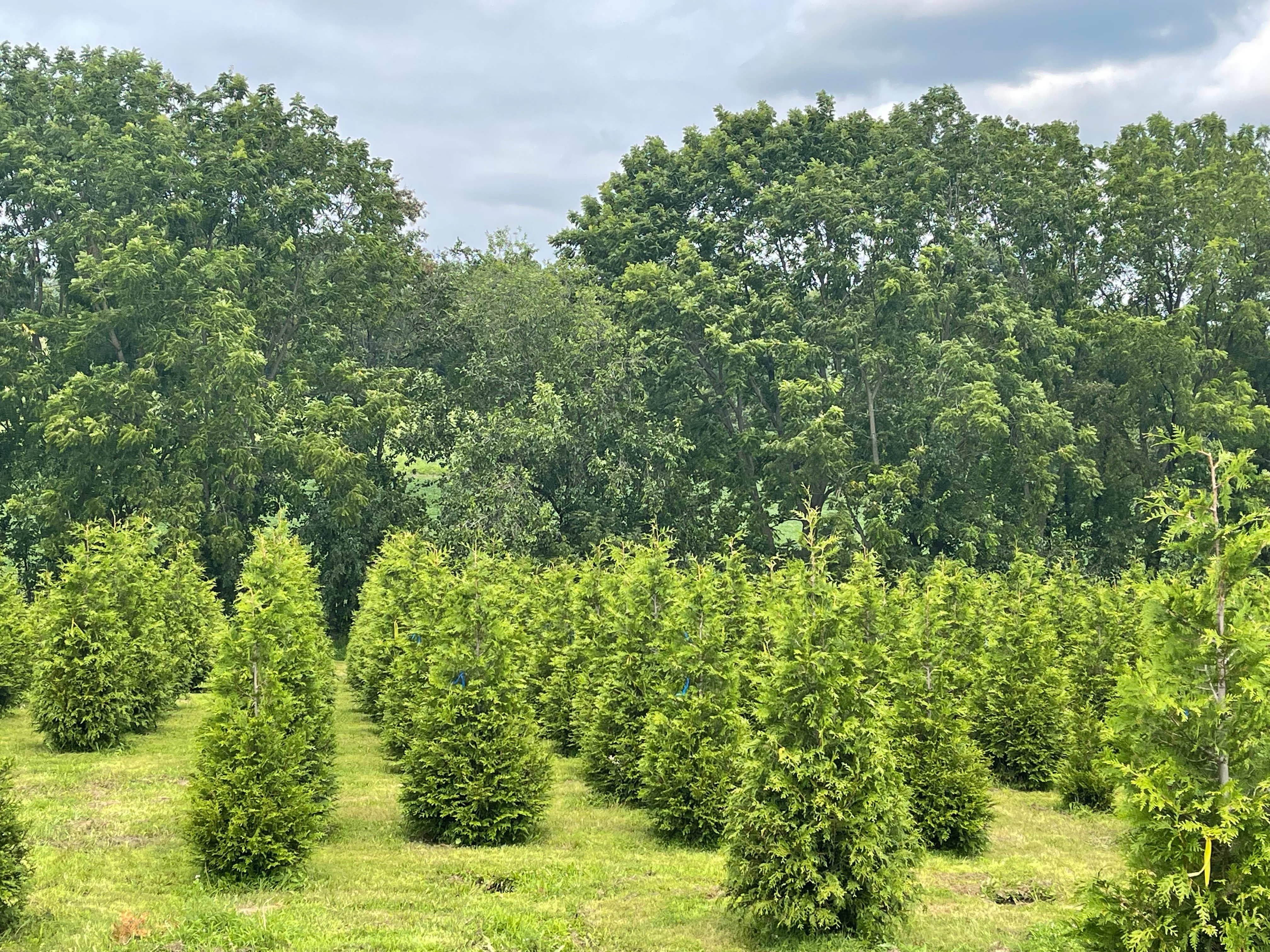 Dean Creek Farm