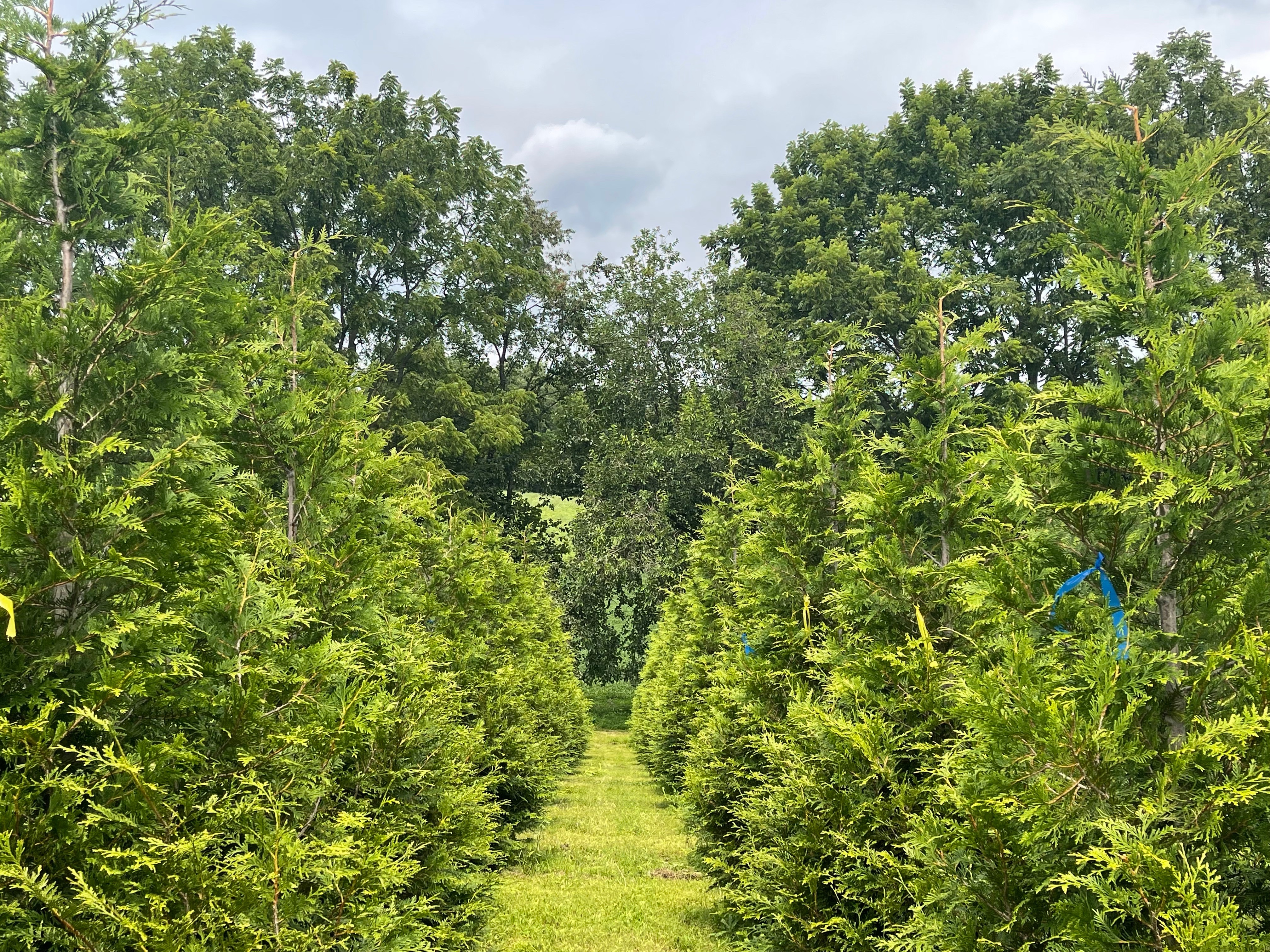 Dean Creek Farm