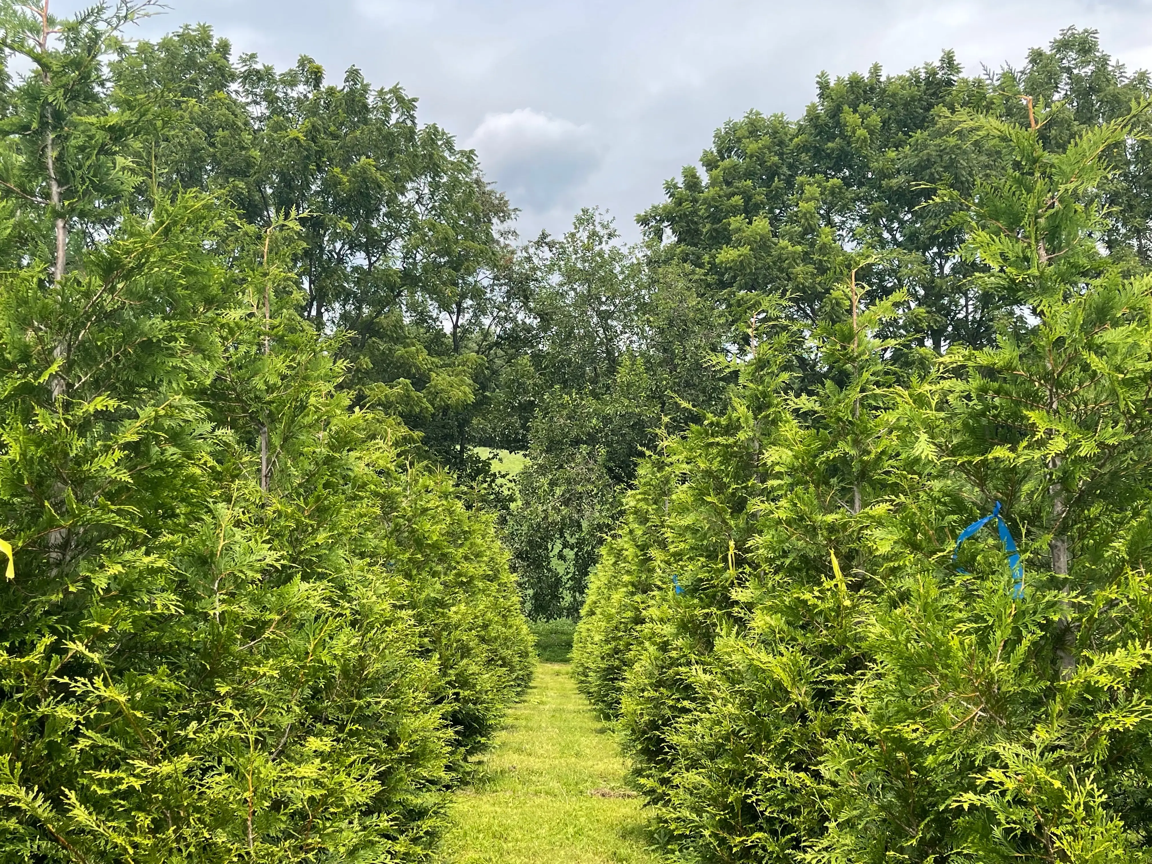 Dean Creek Farm